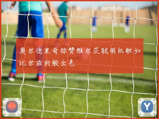奥尔德里奇称赞维尔茨聪明机敏如比尔兹利般出色