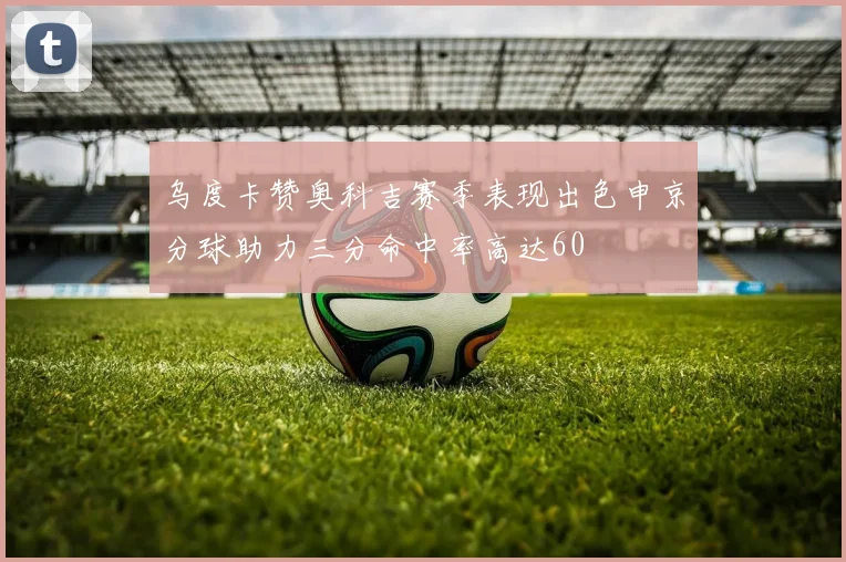 乌度卡赞奥科吉赛季表现出色申京分球助力三分命中率高达60