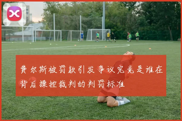 费尔斯被罚款引发争议究竟是谁在背后操控裁判的判罚标准