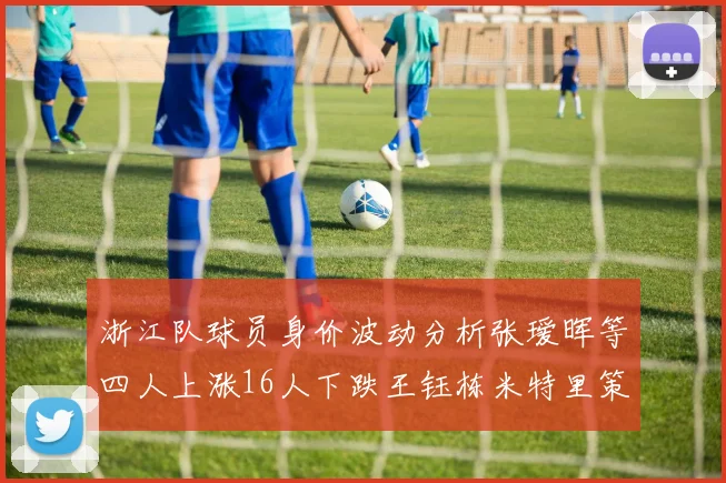 浙江队球员身价波动分析张瑷晖等四人上涨16人下跌王钰栋米特里策保持不变